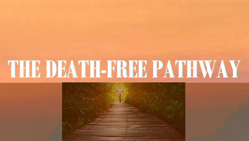 Christ Embassy Orange New Jersey Sermons